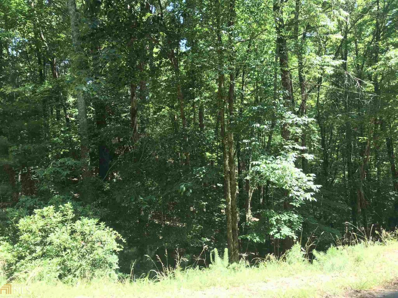 0 Wedowee Ct - Photo 1