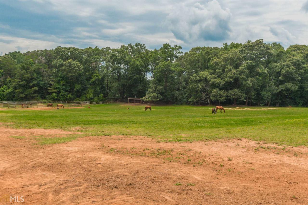 7700 Little Mill Rd - Photo 1