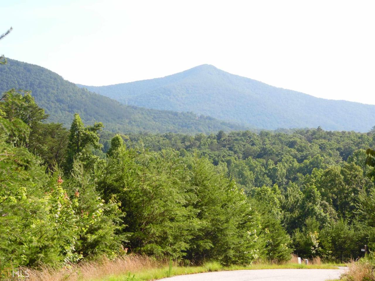 0 Unicoi Hills Tr - Photo 1