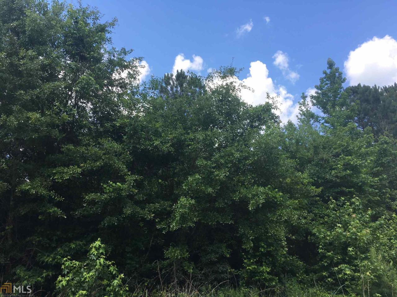 0 Balerma Church Rd - Photo 1