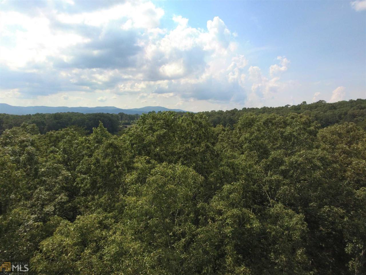 0 Laura Ln - Photo 1