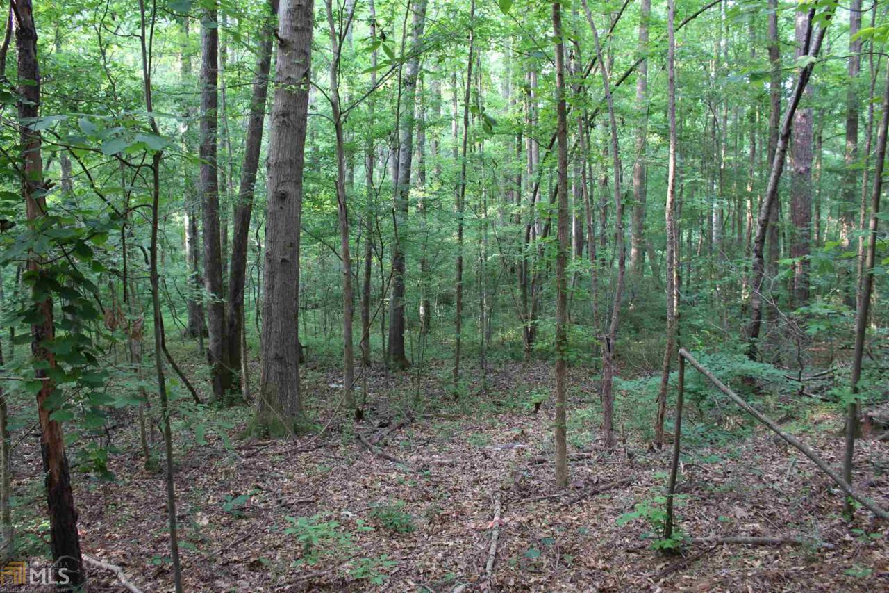 0 Gap Creek Dr - Photo 1