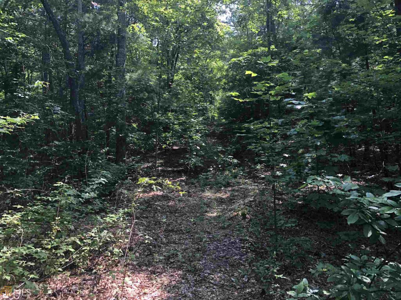 0 Cedar Mountain Trl - Photo 1