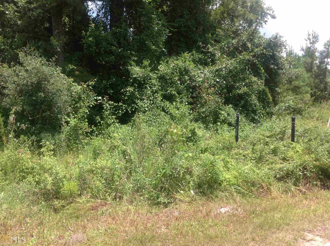 0 Falcon Run Ln - Photo 1