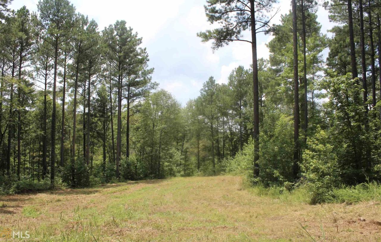 0 Washington Hwy & Crawfordville Rd - Photo 1
