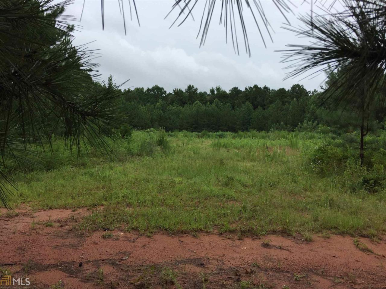 0 Carl Parker Rd - Photo 1
