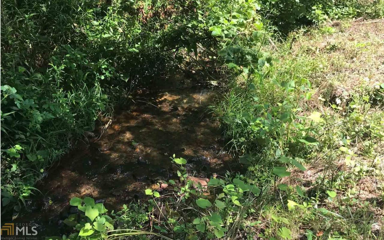 12 Fox Lake - Photo 1