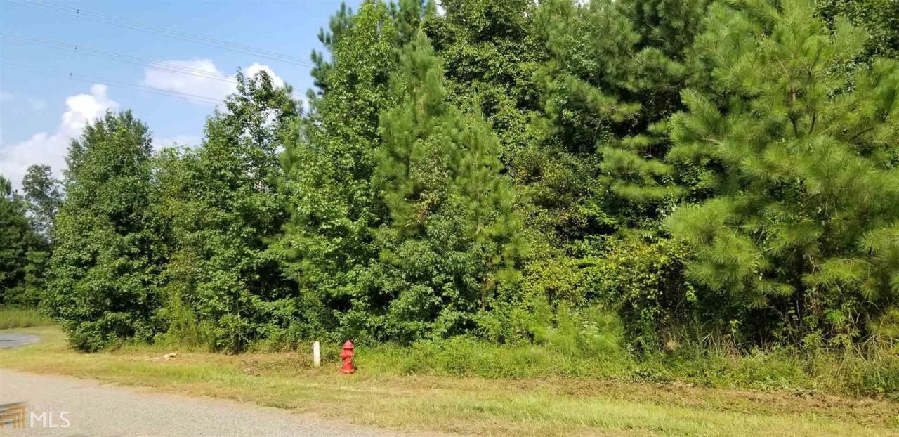 0 Strickland Loop - Photo 1