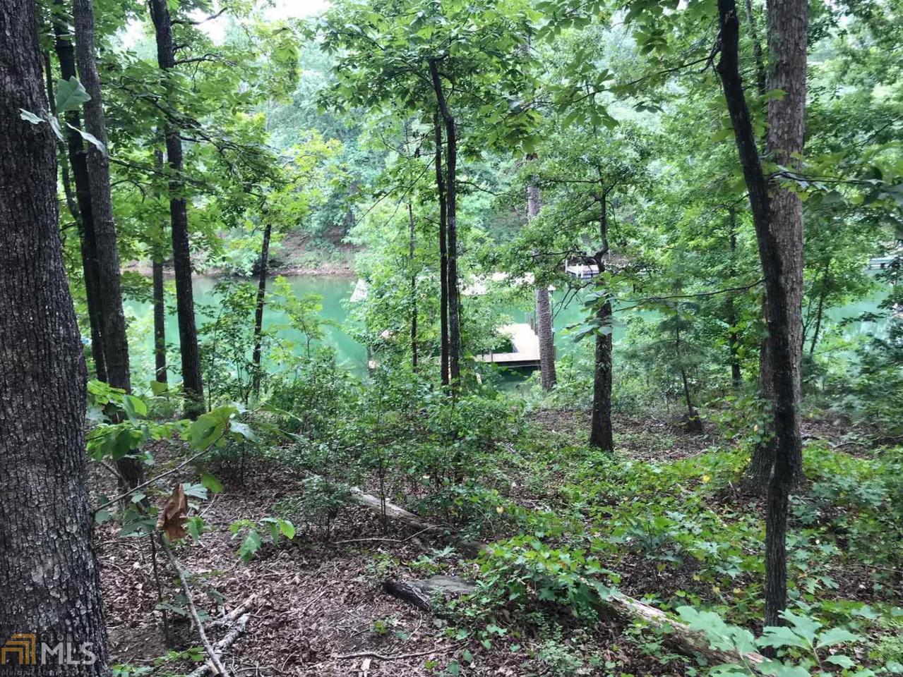 0 Lakeshore Dr - Photo 1
