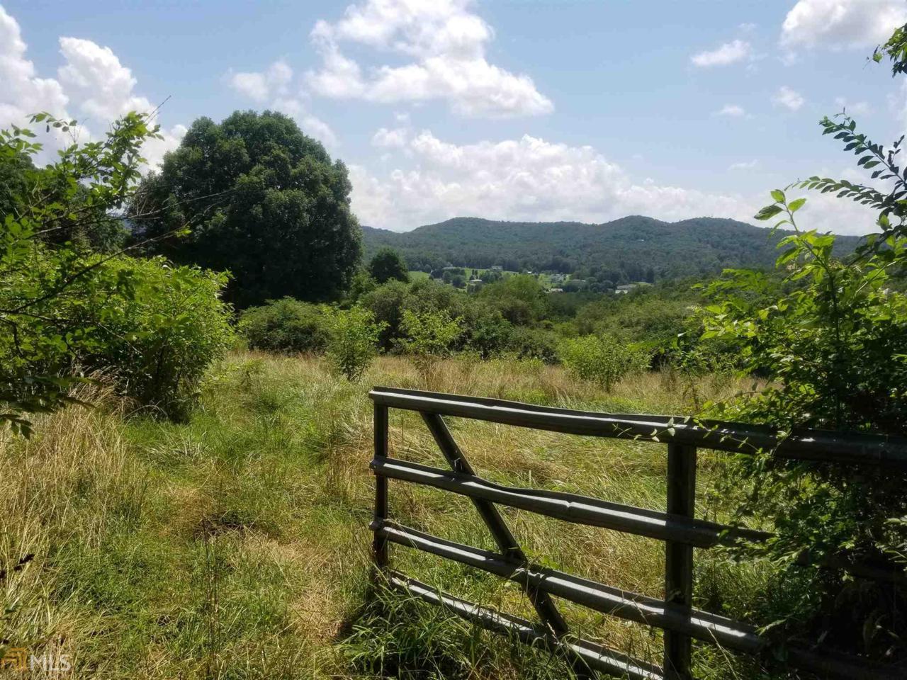 0 Nottely Dam Rd - Photo 1