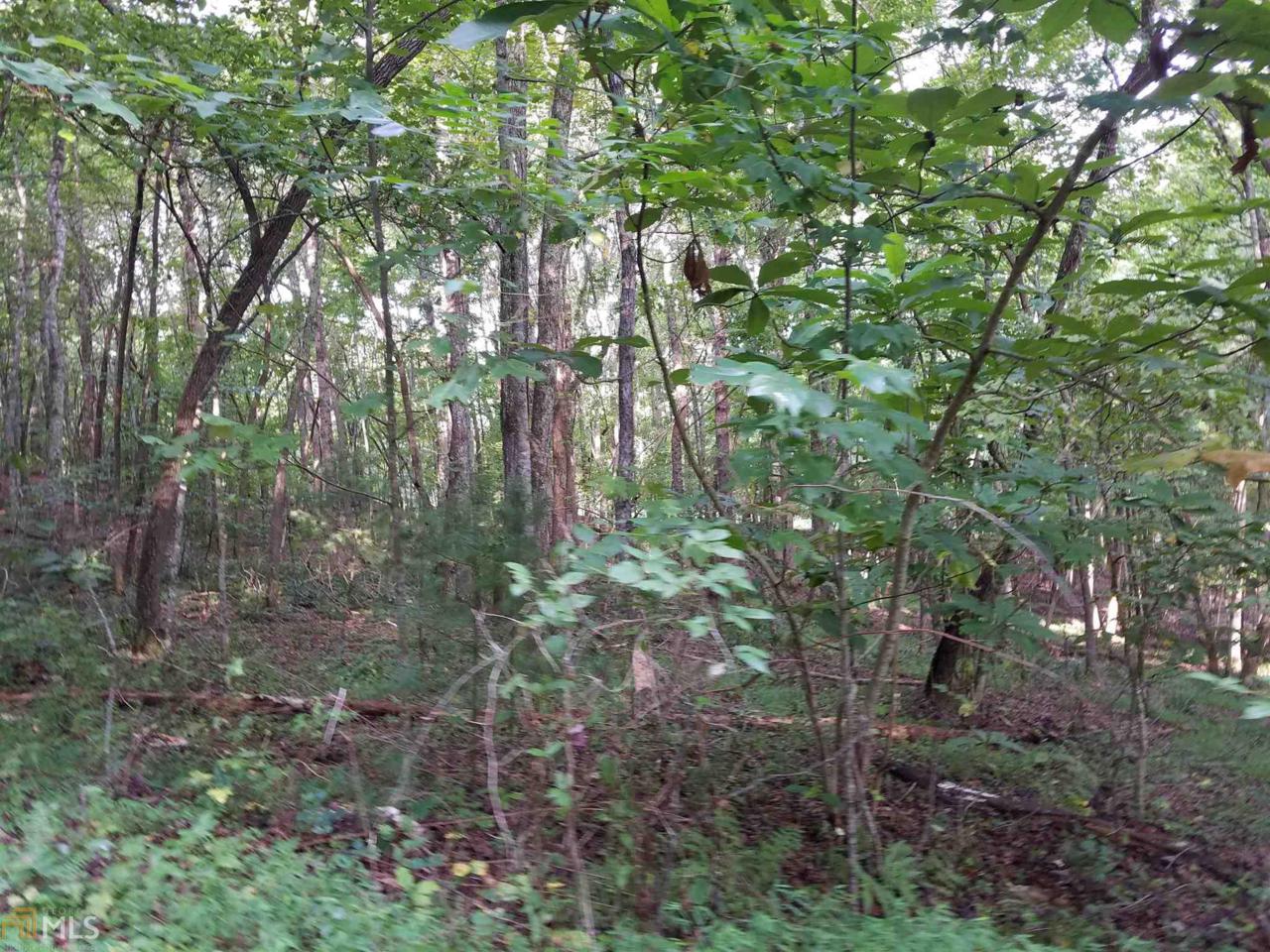 0 Walker Dr - Photo 1