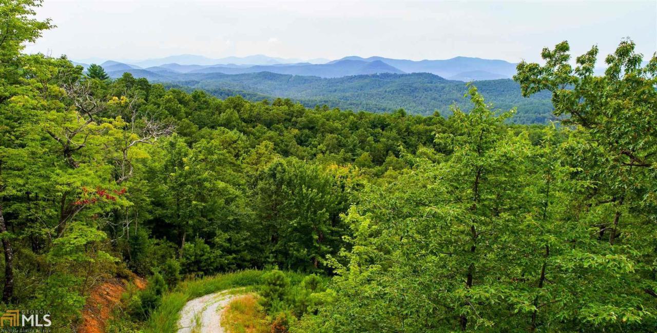 0 Long Mountain Dr - Photo 1