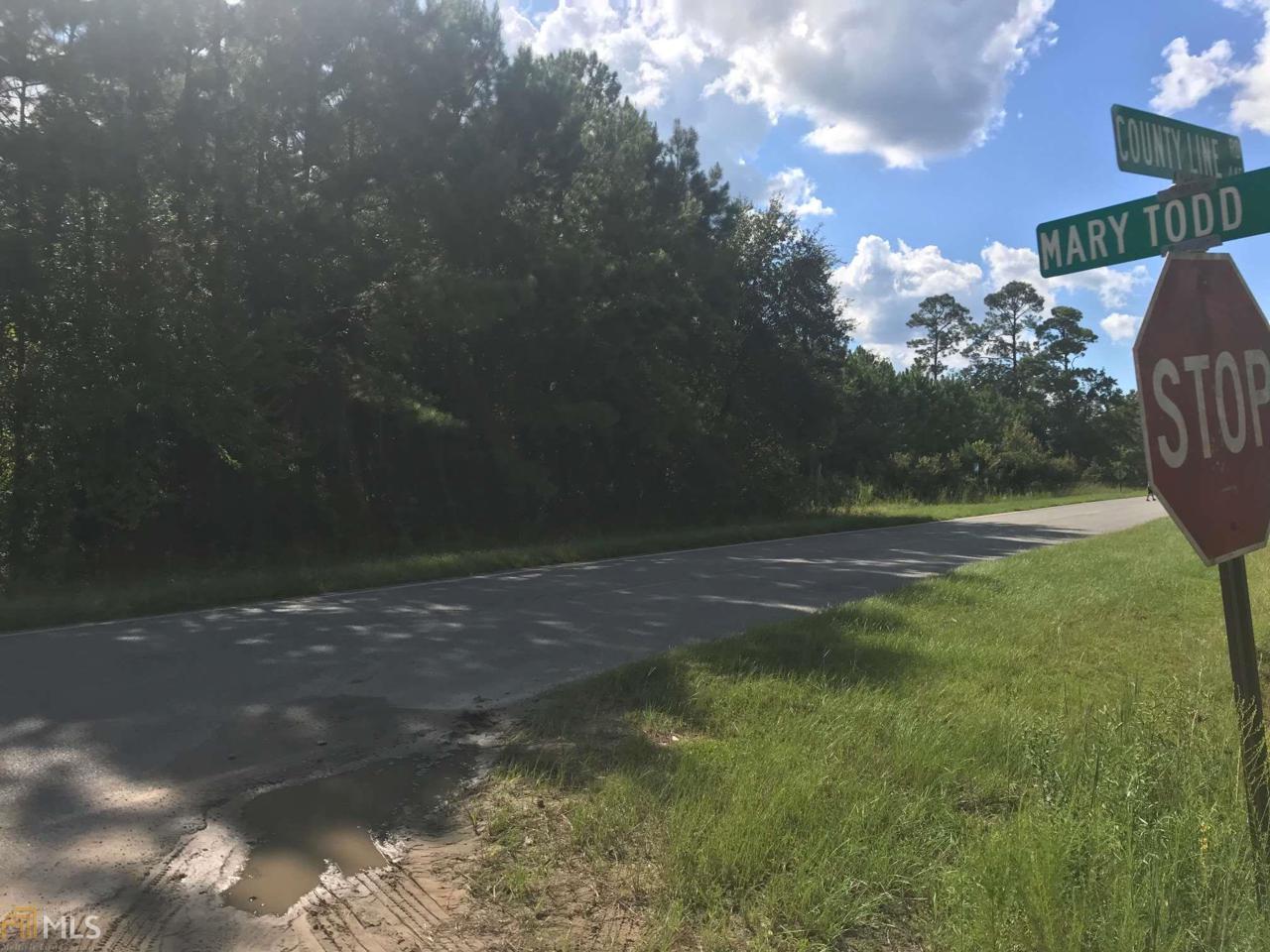 0 County Line Rd - Photo 1