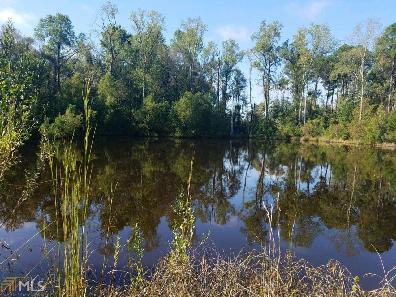 0 James Troup Rd - Photo 1