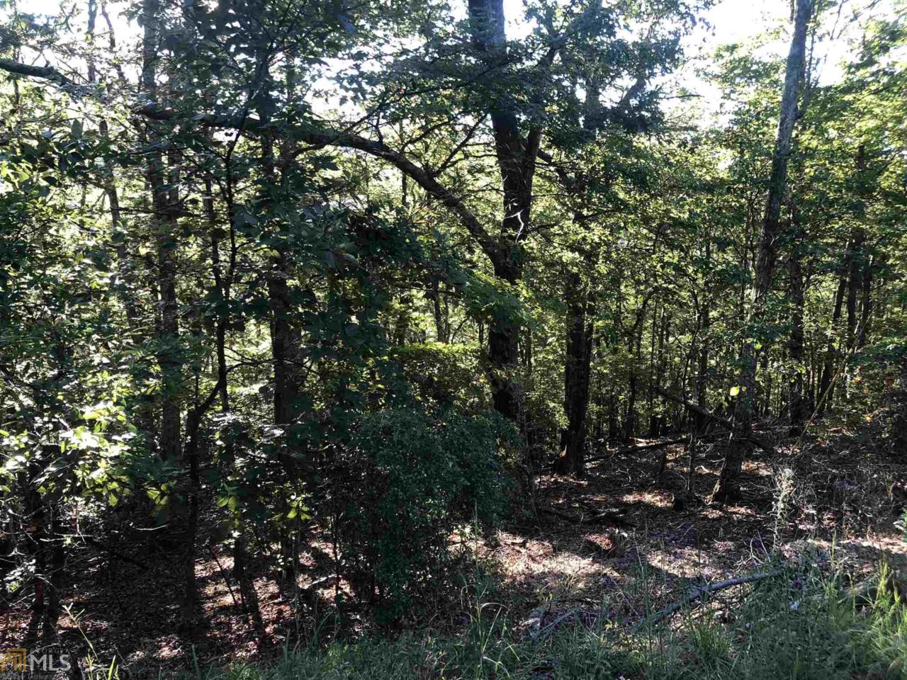 0 Little Hendricks Mountain Rd - Photo 1