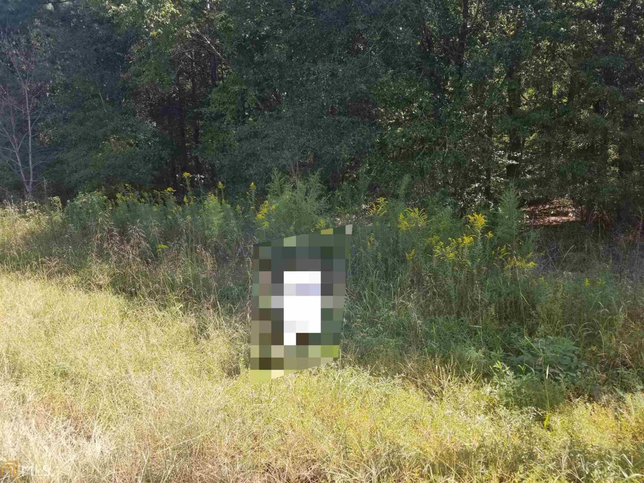 4240 Lower Jersey Rd - Photo 1