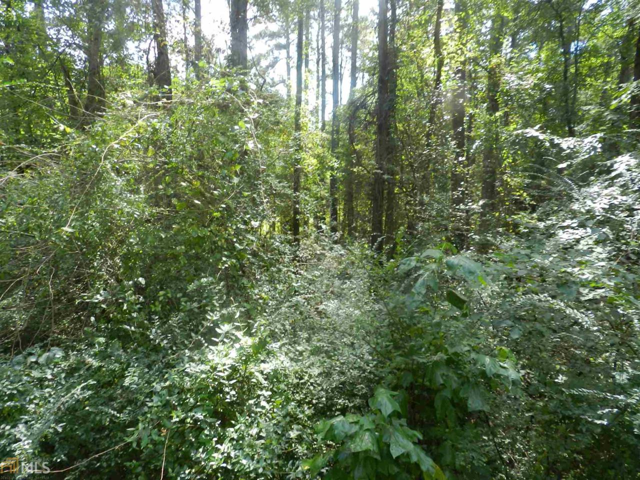 0 Brannan Rd - Photo 1