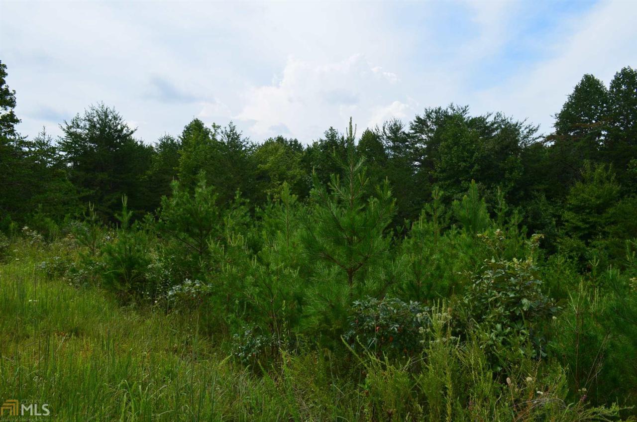 0 Blacksmith Acres II - Photo 1