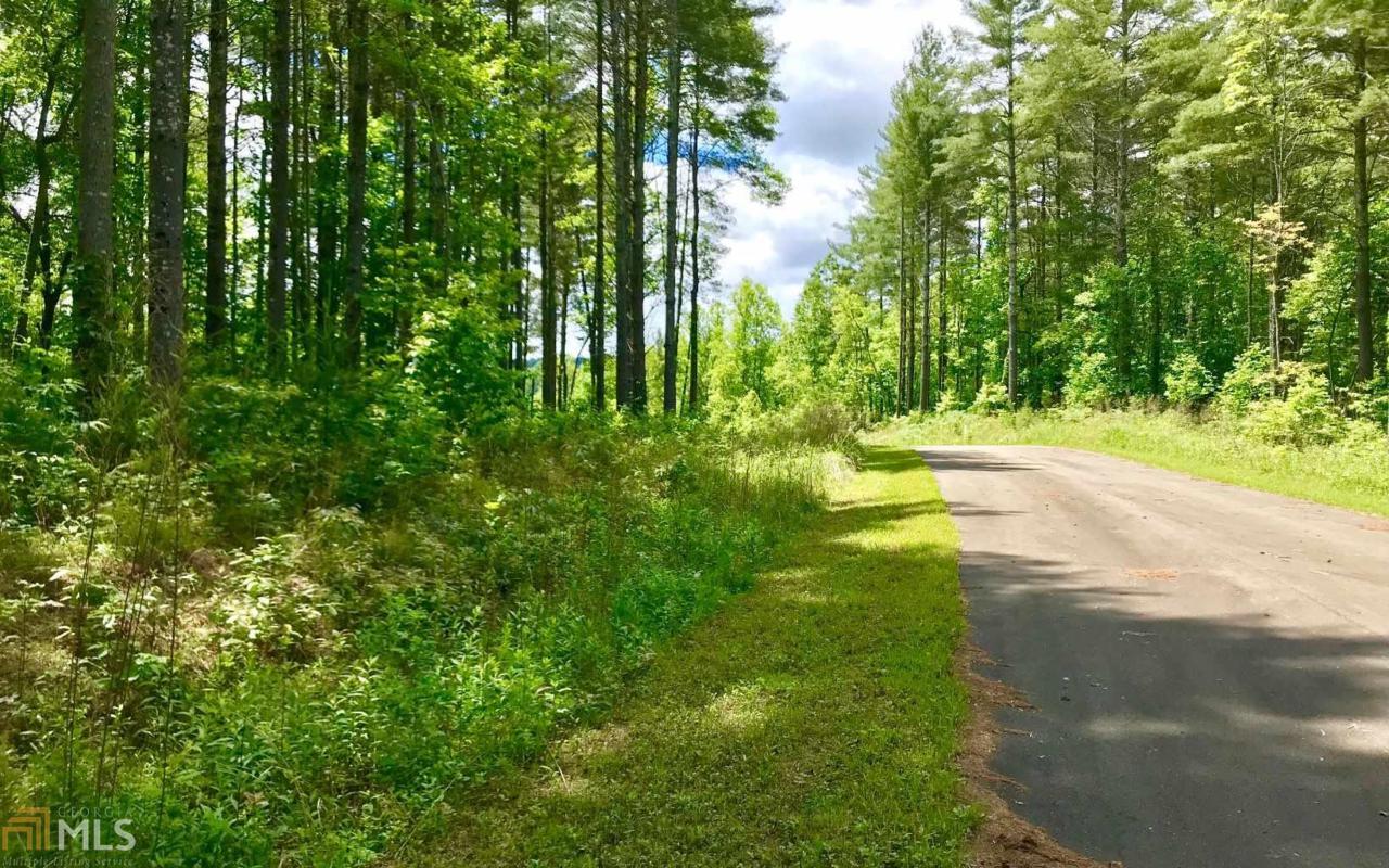0 Pleasant Meadows - Photo 1