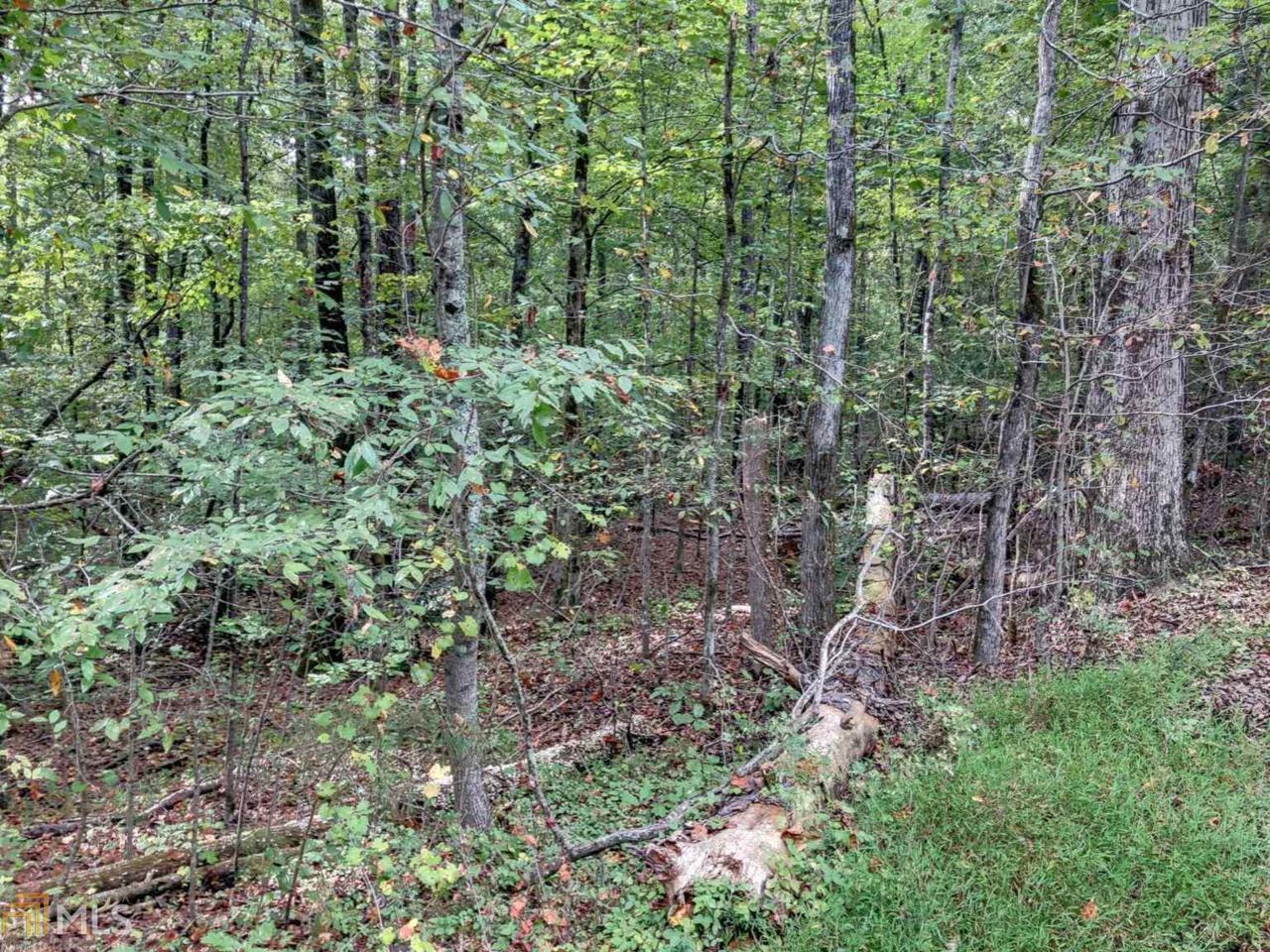 0 Little Mountain Rd - Photo 1