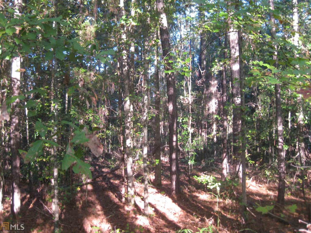 0 Pine Knoll Dr - Photo 1