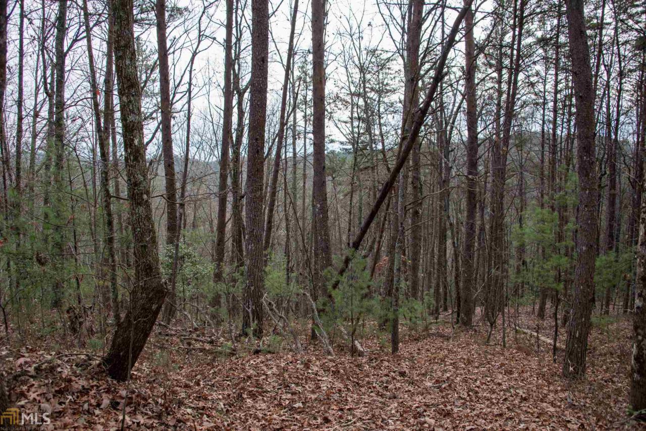 0 Hollow - Photo 1