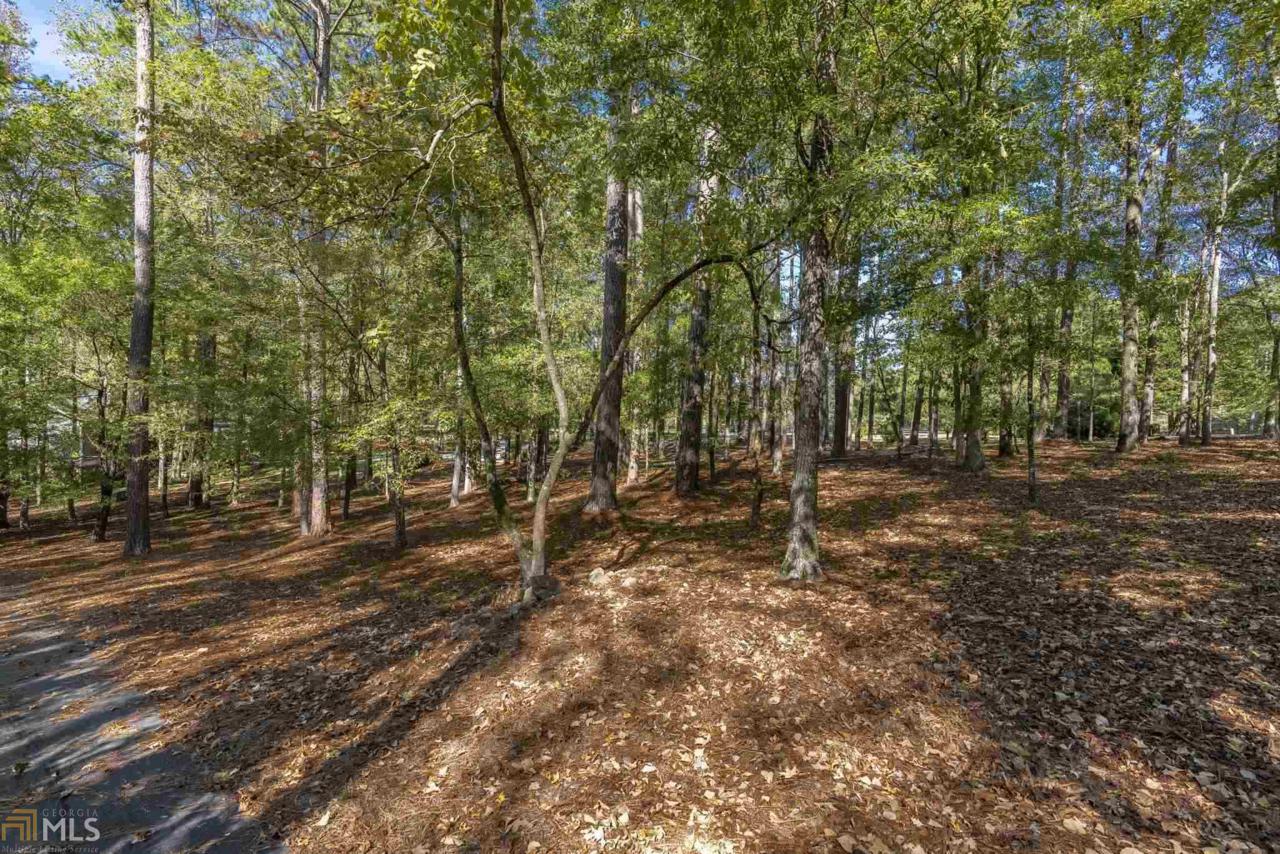 1931 & 1941 Pine Grove Rd - Photo 1