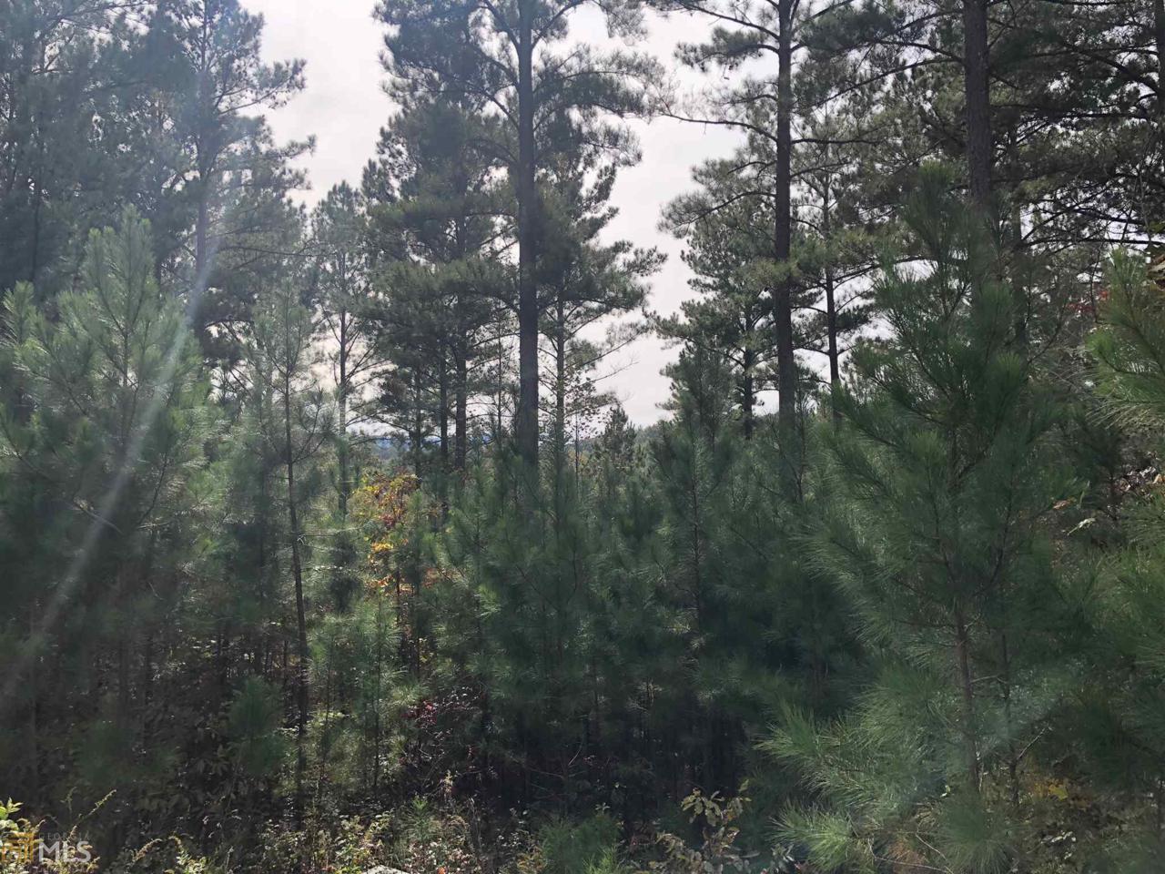 80 Tree Line Dr - Photo 1