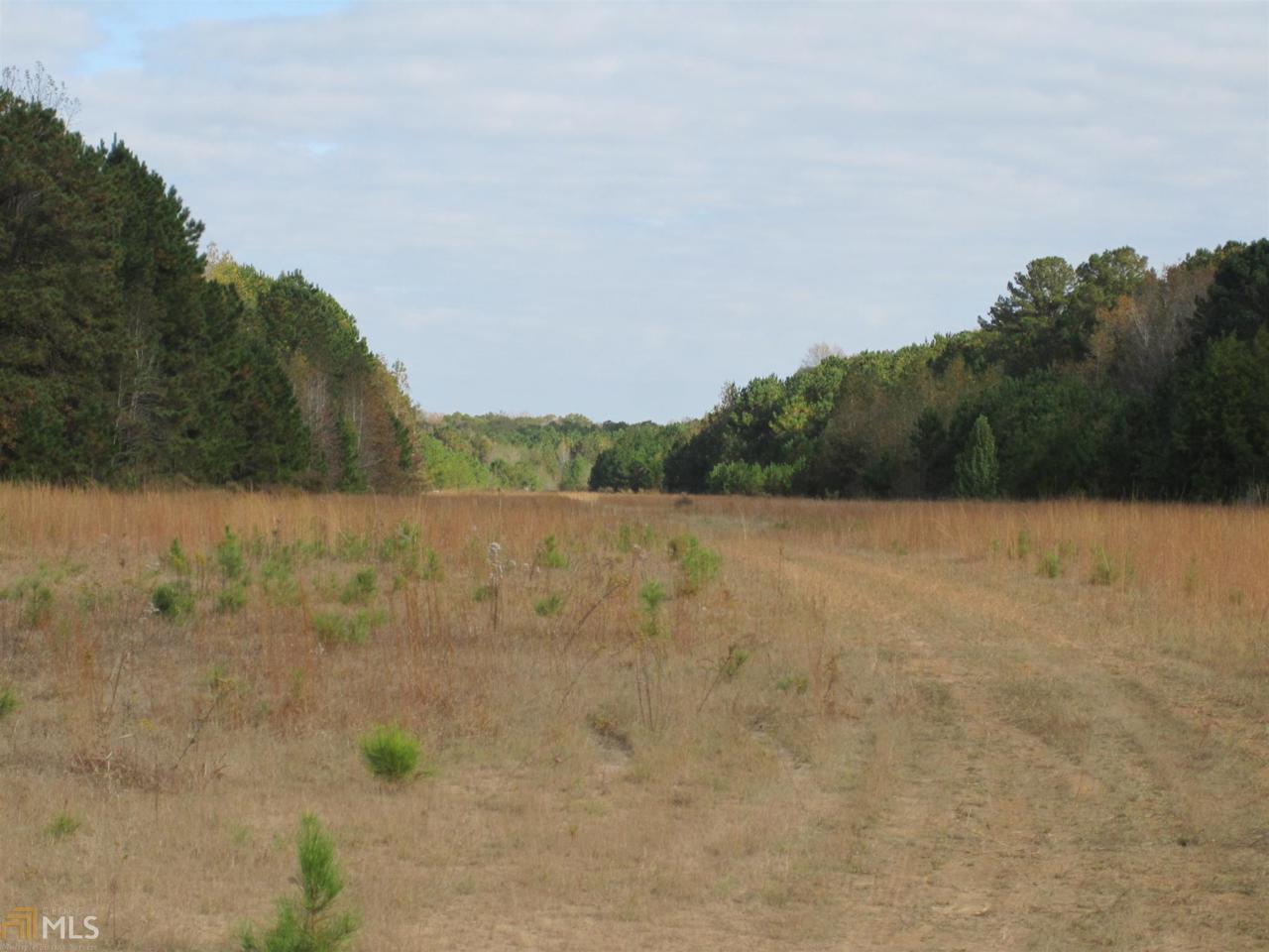 2382 Highway 92 S - Photo 1