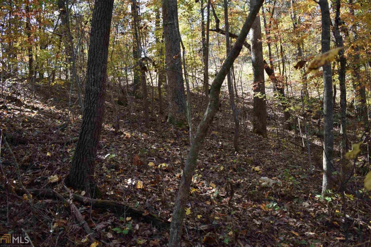 0 Habersham Lndg - Photo 1