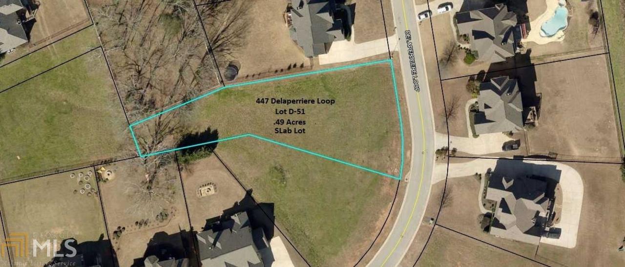 447 Delaperriere Loop - Photo 1
