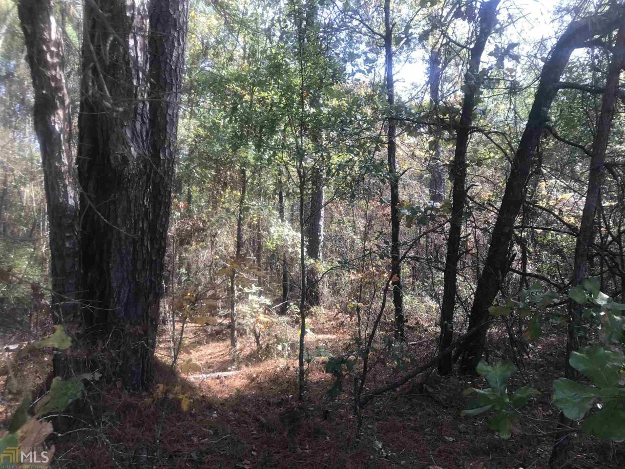0 Boy Scout Rd - Photo 1