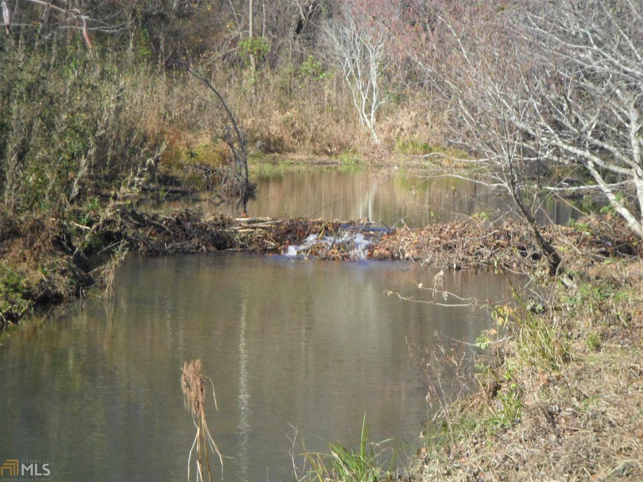 0 Goat Neck Rd - Photo 1