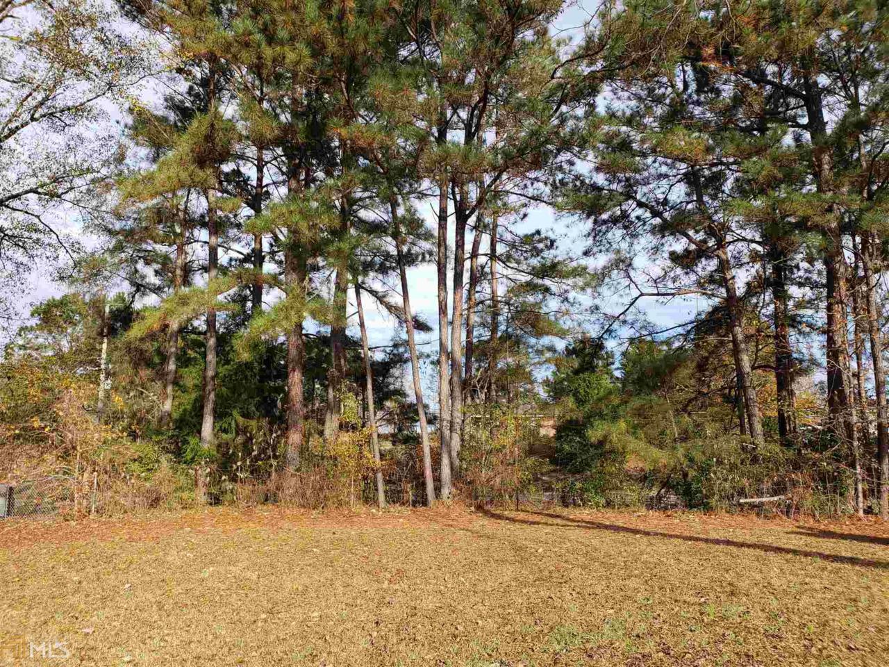 166 Dunson Shoals Rd - Photo 1