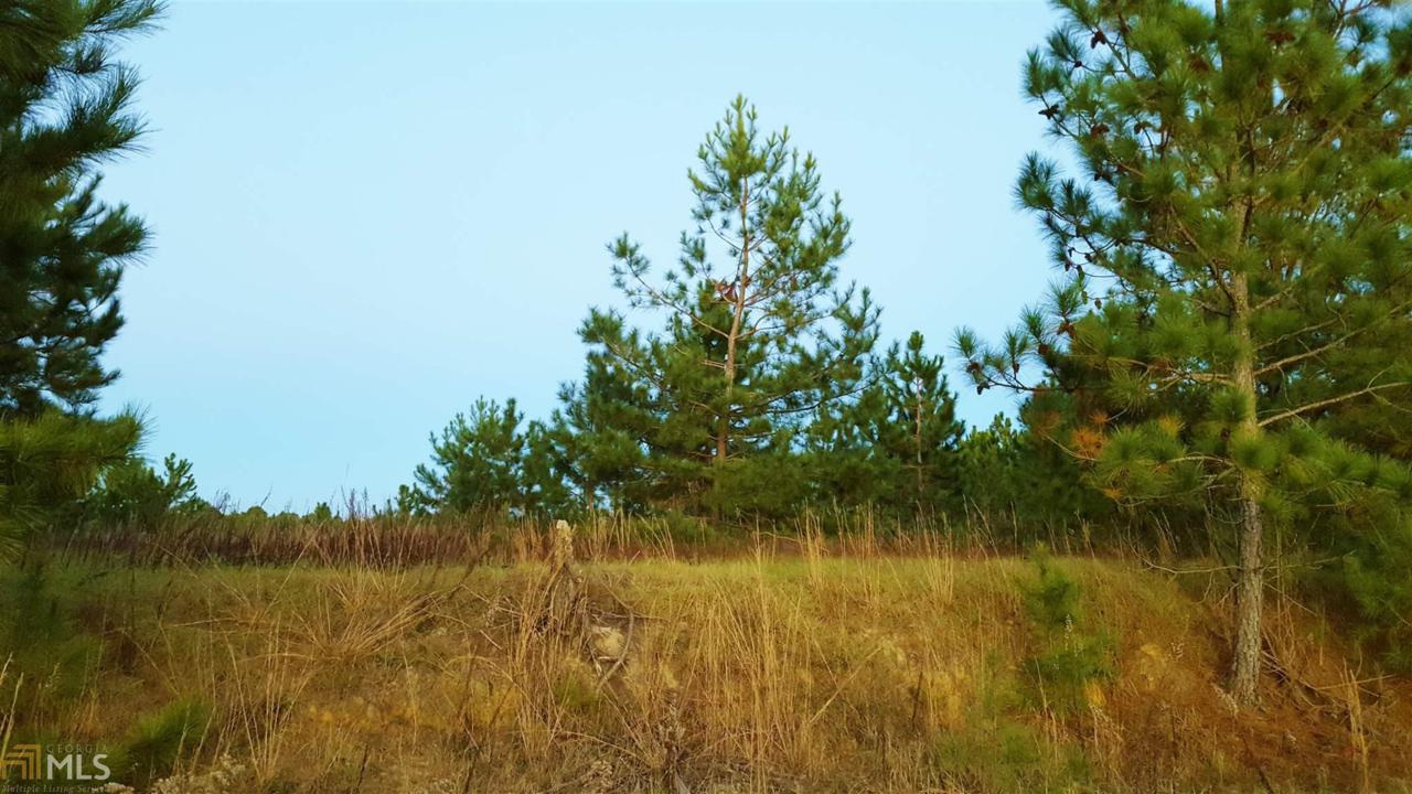 0 Cal Maine Rd - Photo 1