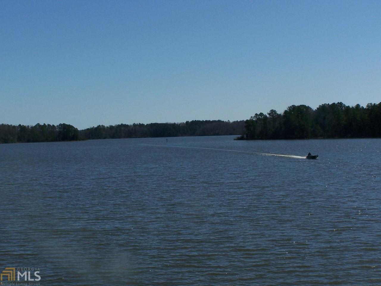 0 Panther Point - Photo 1