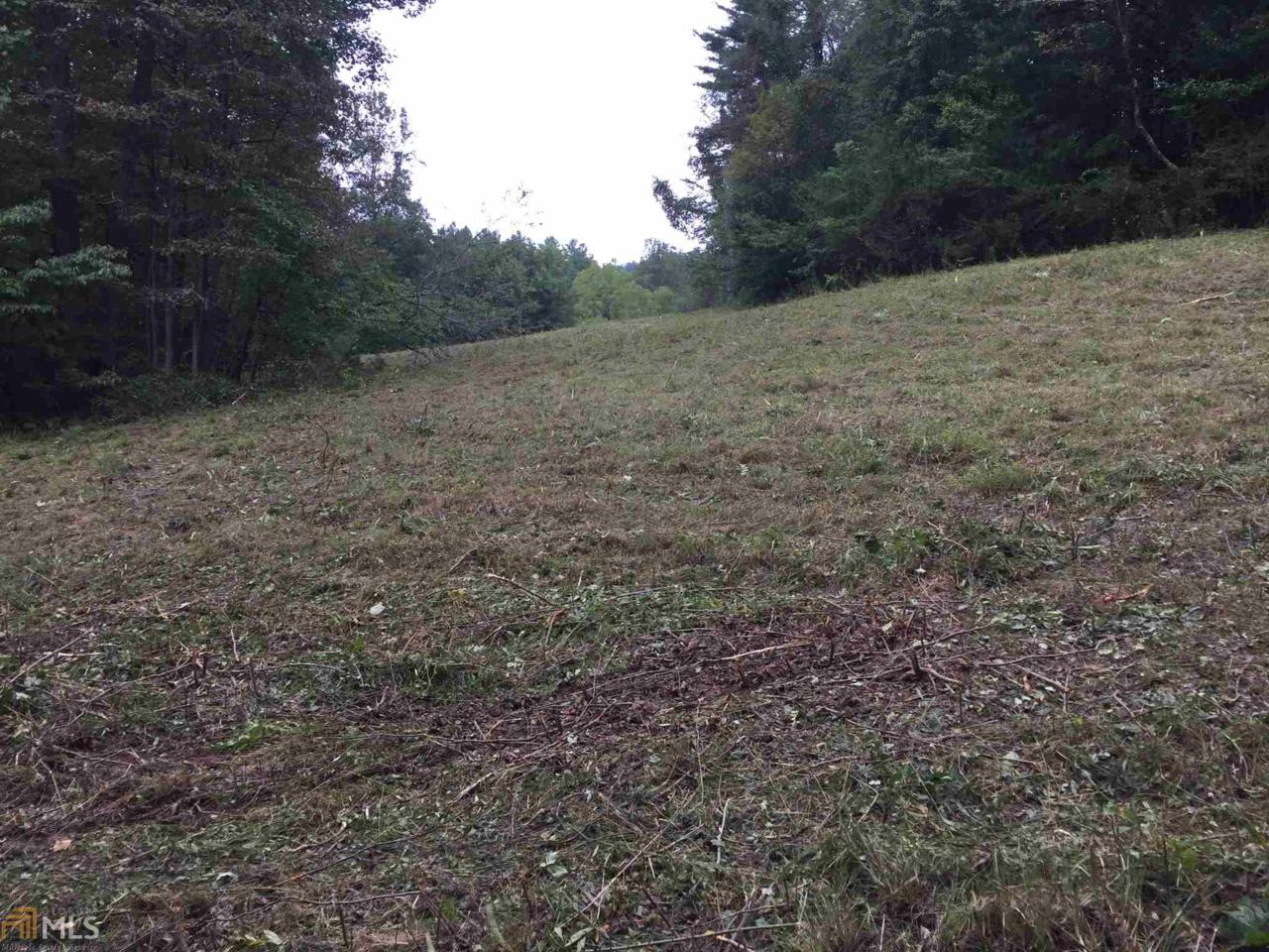 3812 Thomas Town Rd - Photo 1