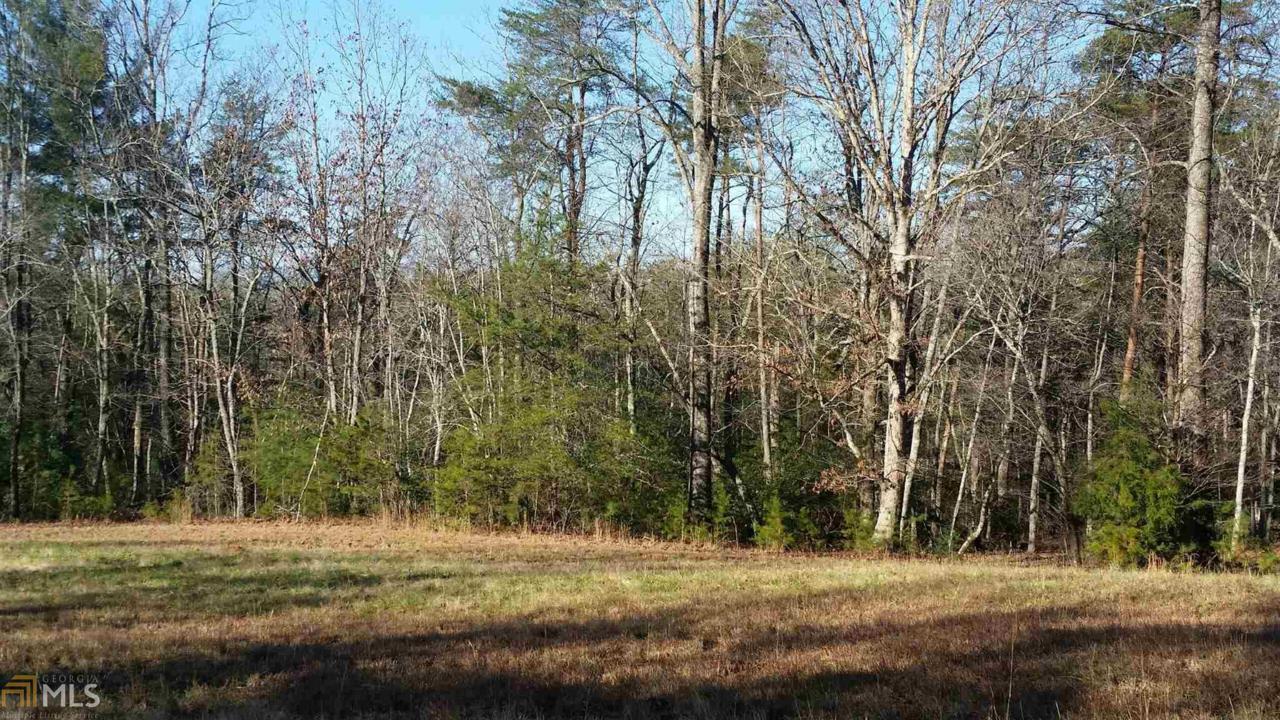 0 Albert Reid Rd - Photo 1