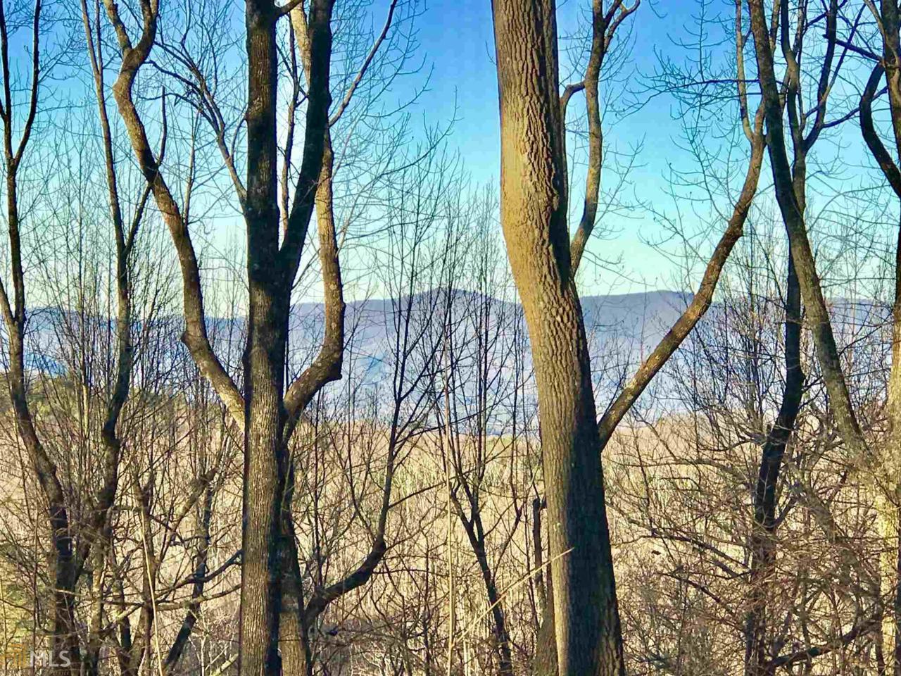 0 Falling Waters - Photo 1