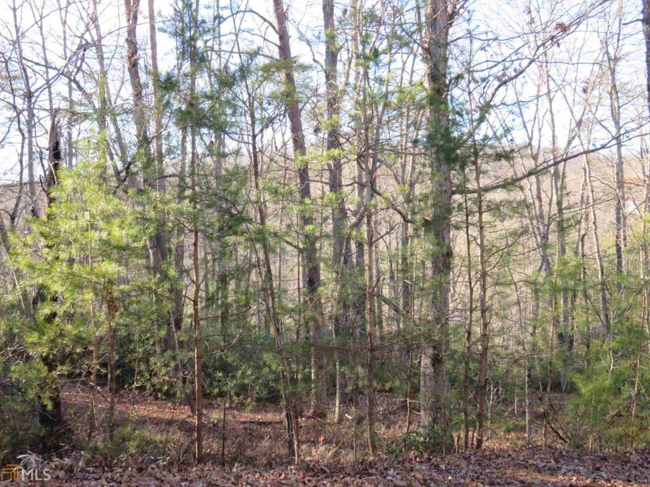 0 Smoke Ridge Way - Photo 1