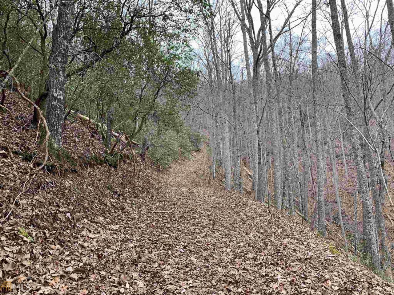 0 White Oak Forest - Photo 1