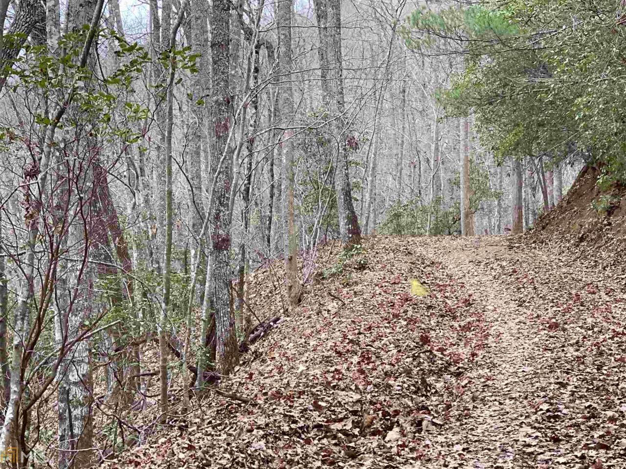 0 White Oak Forest - Photo 1