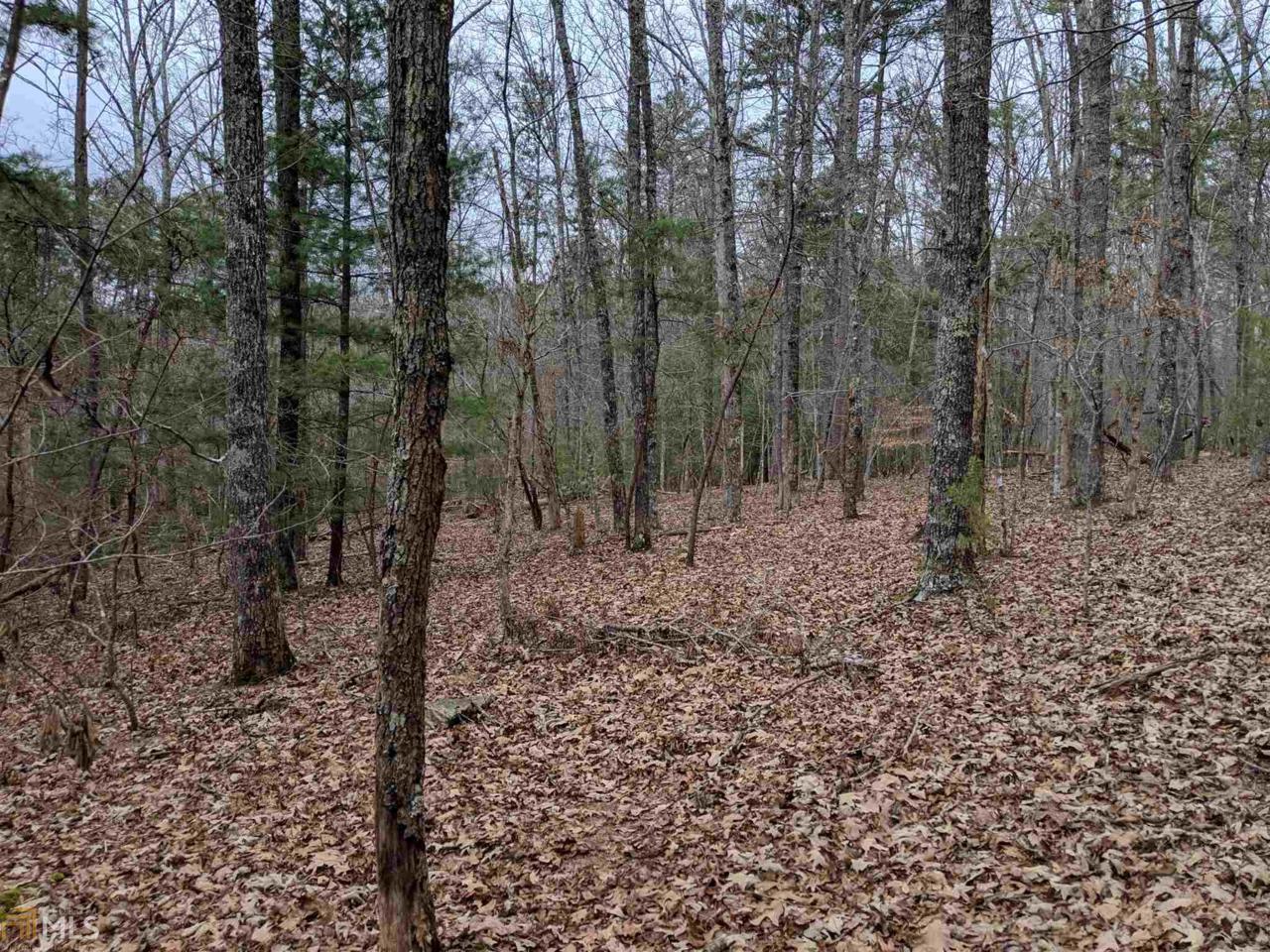 0 Tipton Springs - Photo 1
