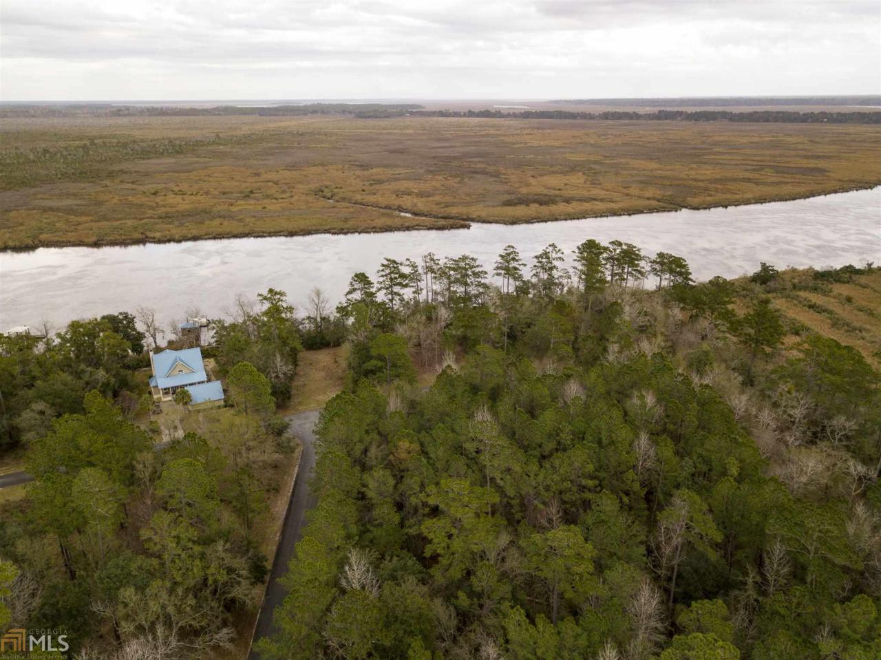 0 Satilla River Lndg - Photo 1