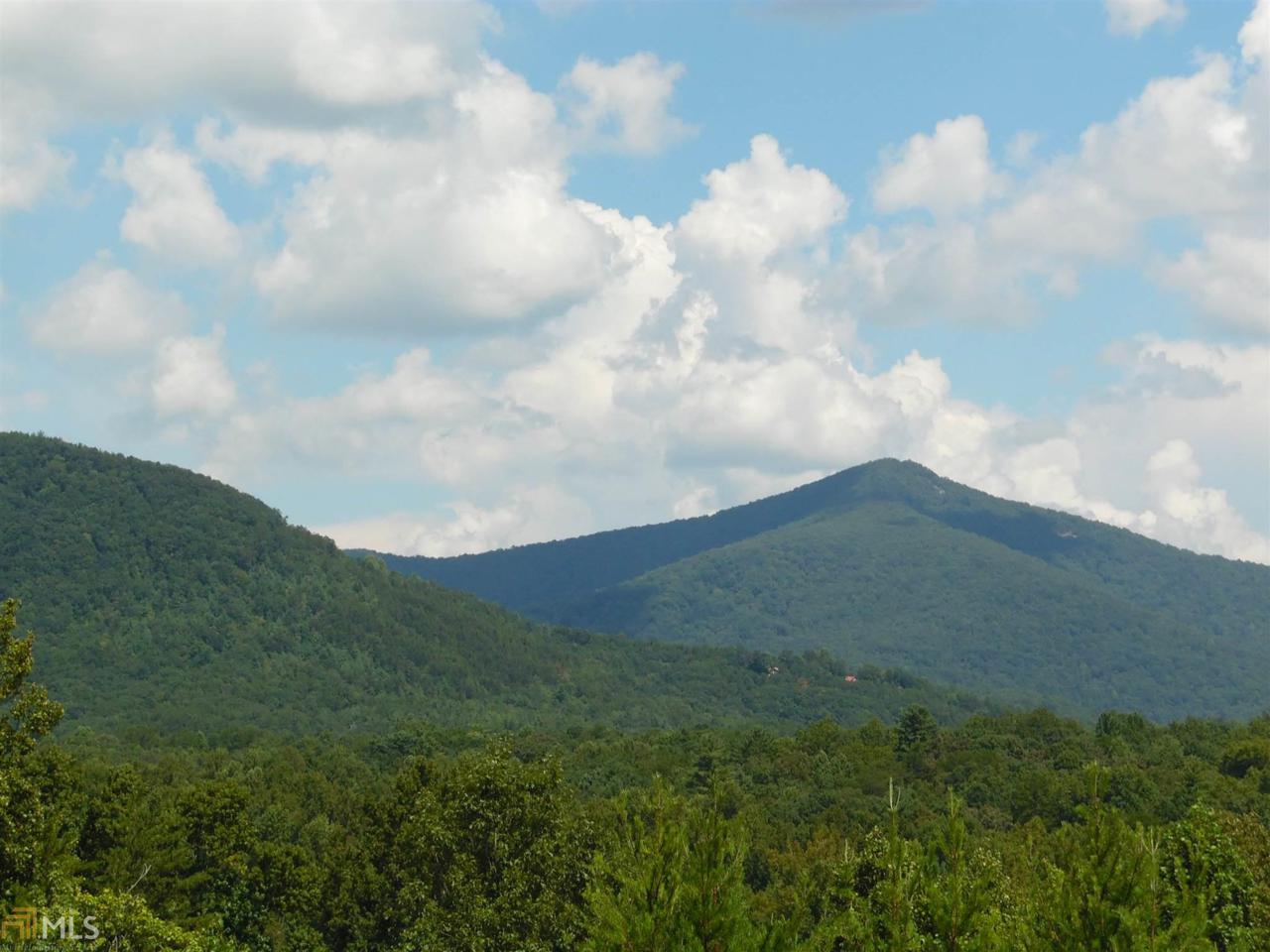 0 Unicoi Hills Tr - Photo 1