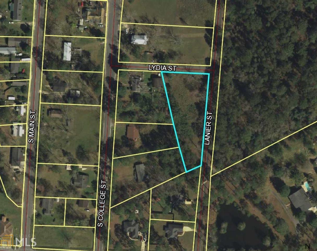 0 Lanier - Photo 1