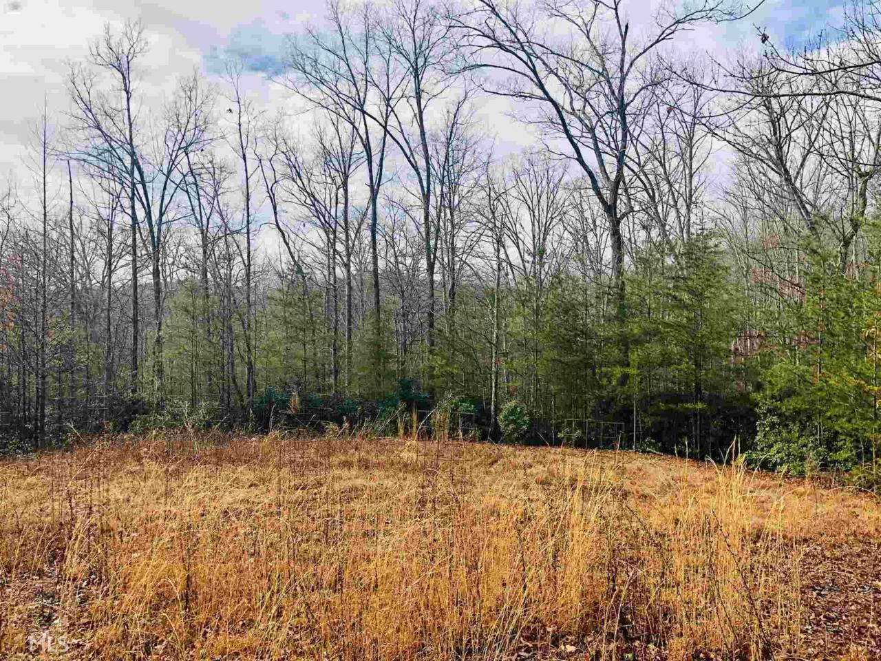 0 Chimney Mountian Rd - Photo 1