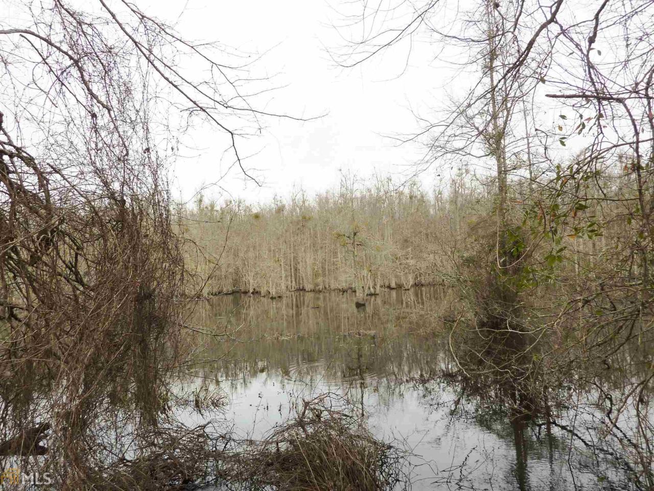0 Lake Collins Rd - Photo 1