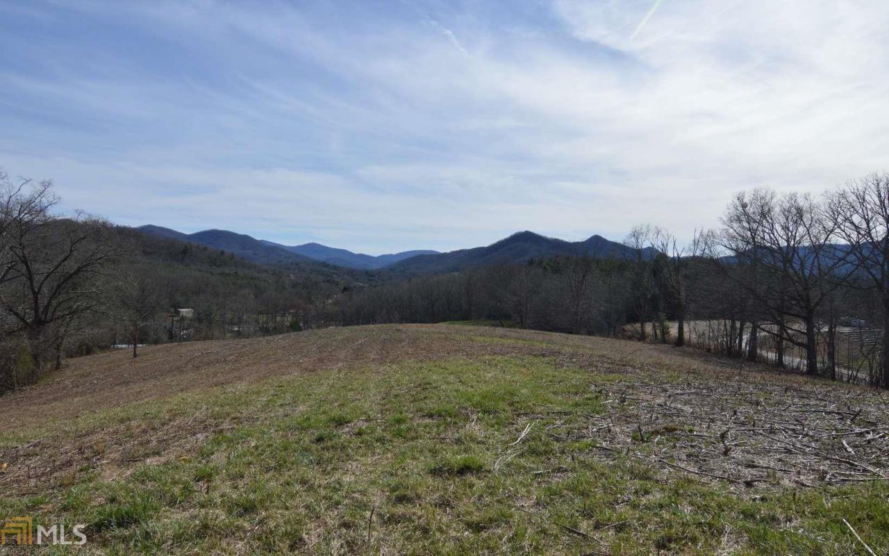 0 Bugscuffle Rd - Photo 1