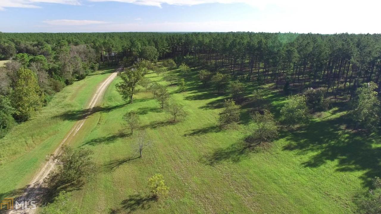 949 Promise Land Ln - Photo 1